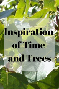 Read more about the article Inspiration of Time and Trees