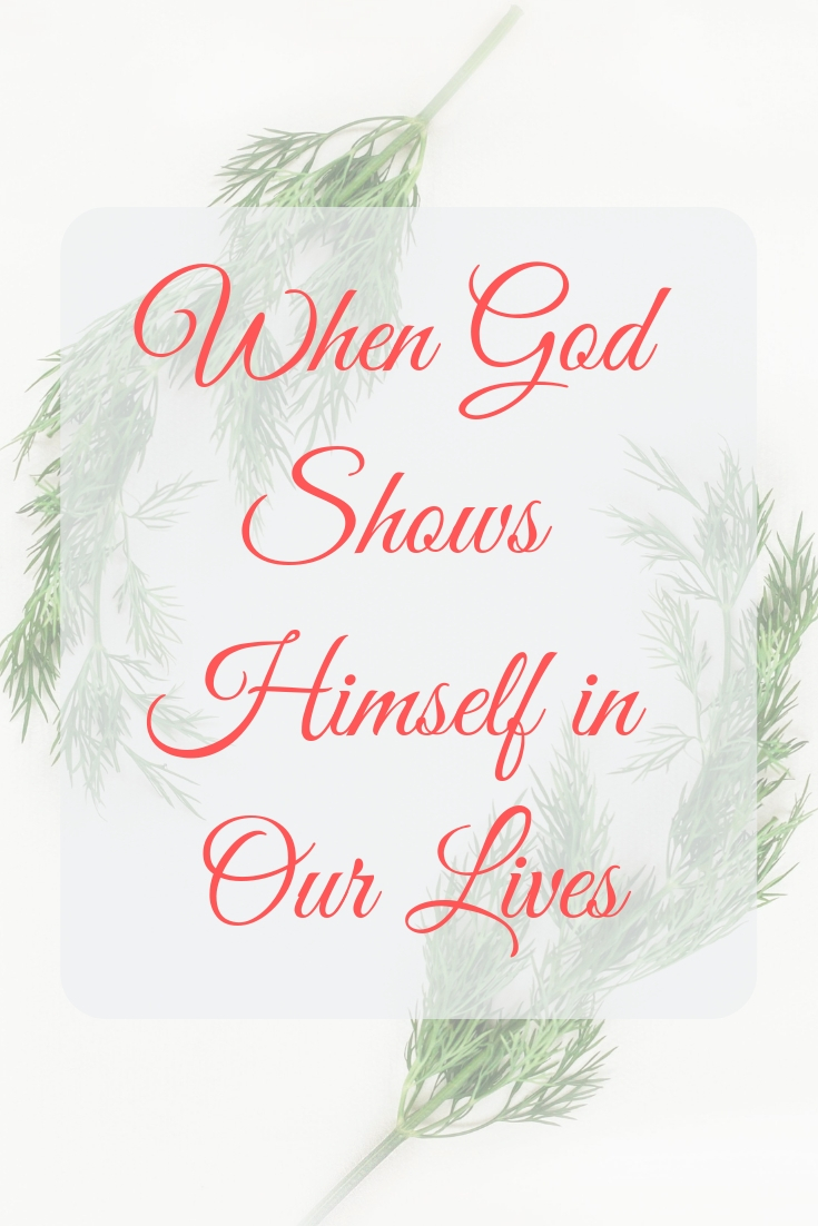 You are currently viewing When God Shows Himself in Our Lives