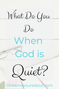 Read more about the article What Do You Do When God is Quiet?