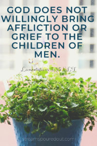 https://streamspouredout.com/wp-content/uploads/2019/03/God-does-not-willingly-bring-affliction-or-grief-to-the-children-of-men..jpg