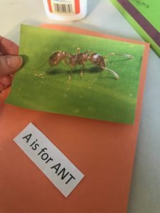 DIY An Easy & Educational Kid's Activity Book