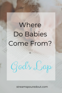 Read more about the article Where Do Babies Come From? – God’s Lap